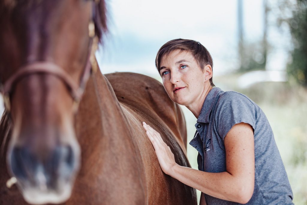 Manipulations de bodywork au niveau de l'abdomen d'un cheval
