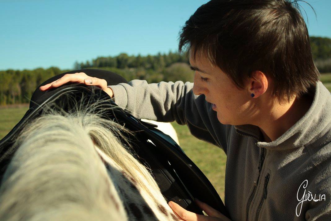 Analyse de l'adaptation d'une selle au dos d'un cheval