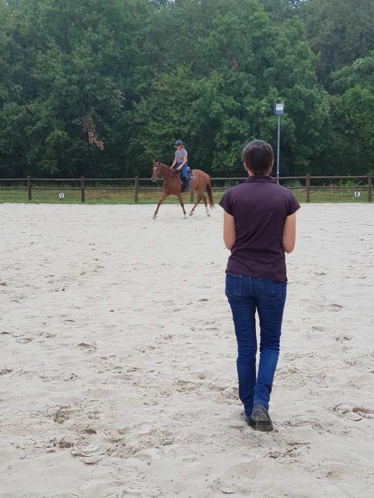 Essai monté lors d'une séance de saddle fitting