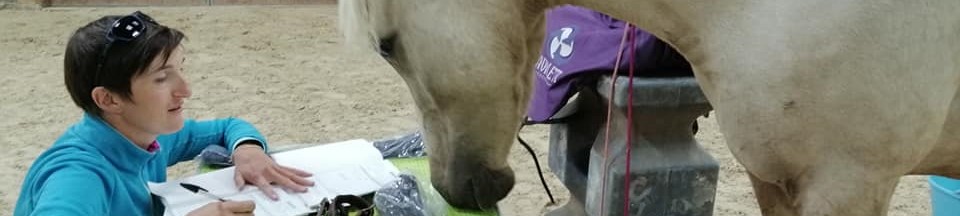 Un cheval s'intéresse aux documents qu'une humaine rédige