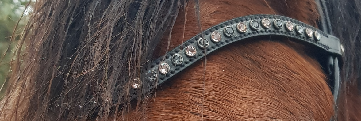 frontal à strass sur la tête d'un cheval bai