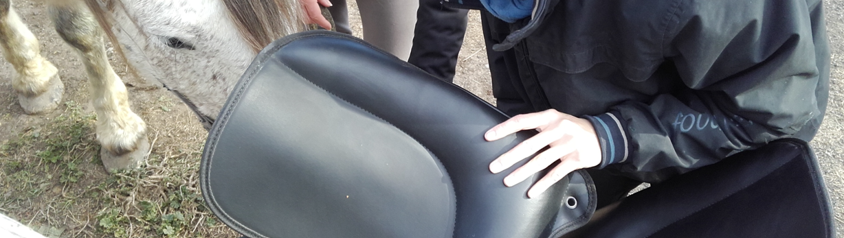 modification d'une selle en séance de saddle fitting