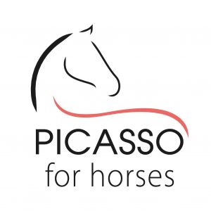 Saddle Fitting logo Picasso for horses
