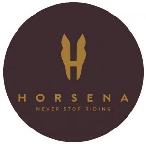 Saddle Fitting logo Horsena